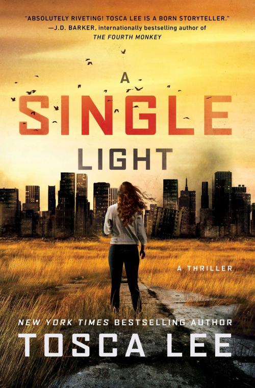 Cover of the book A Single Light by Tosca Lee, Howard Books