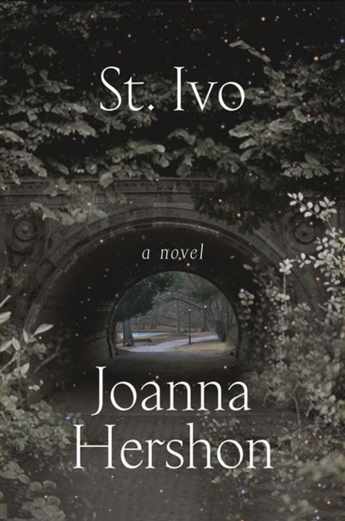 Cover of the book St. Ivo by Joanna Hershon, Farrar, Straus and Giroux