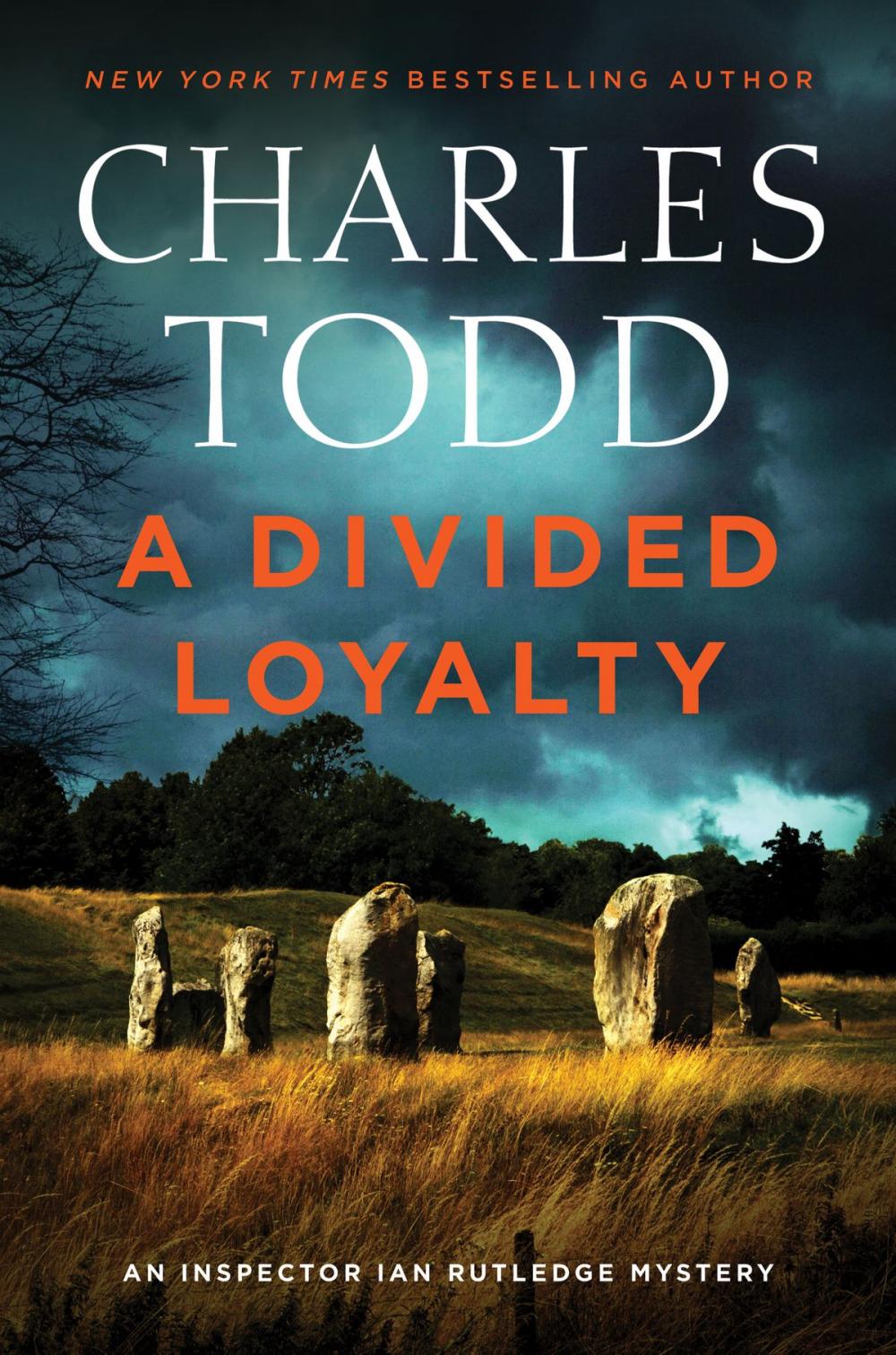 Big bigCover of A Divided Loyalty