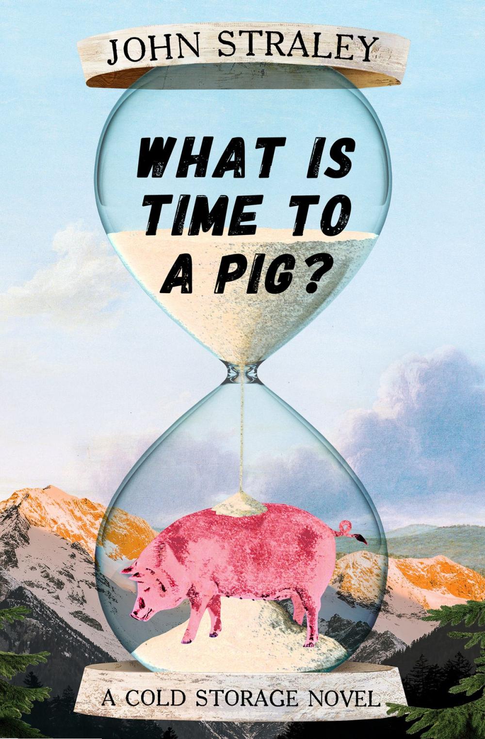 Big bigCover of What Is Time to a Pig?