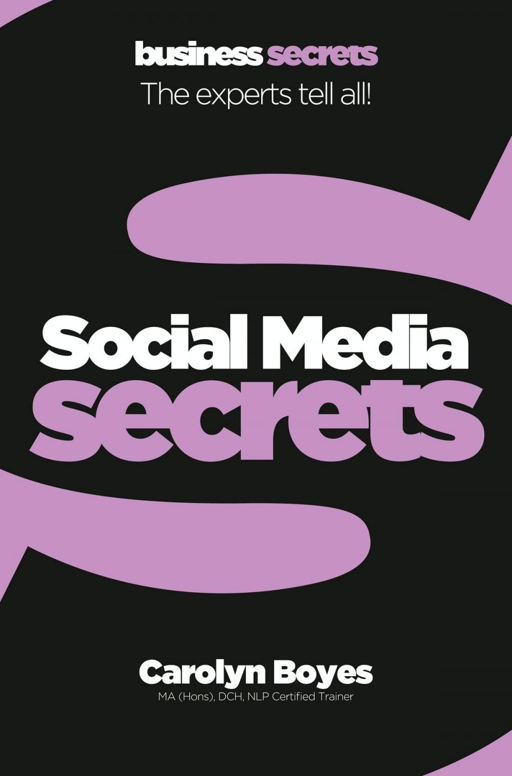 Big bigCover of Social Media (Collins Business Secrets)