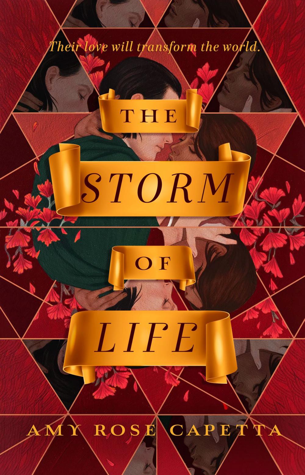 Big bigCover of The Storm of Life