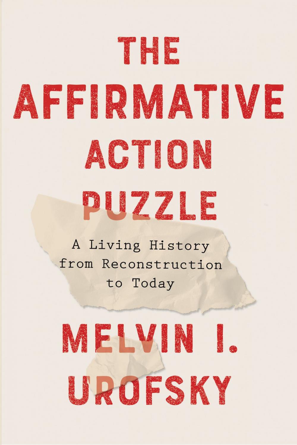 Big bigCover of The Affirmative Action Puzzle