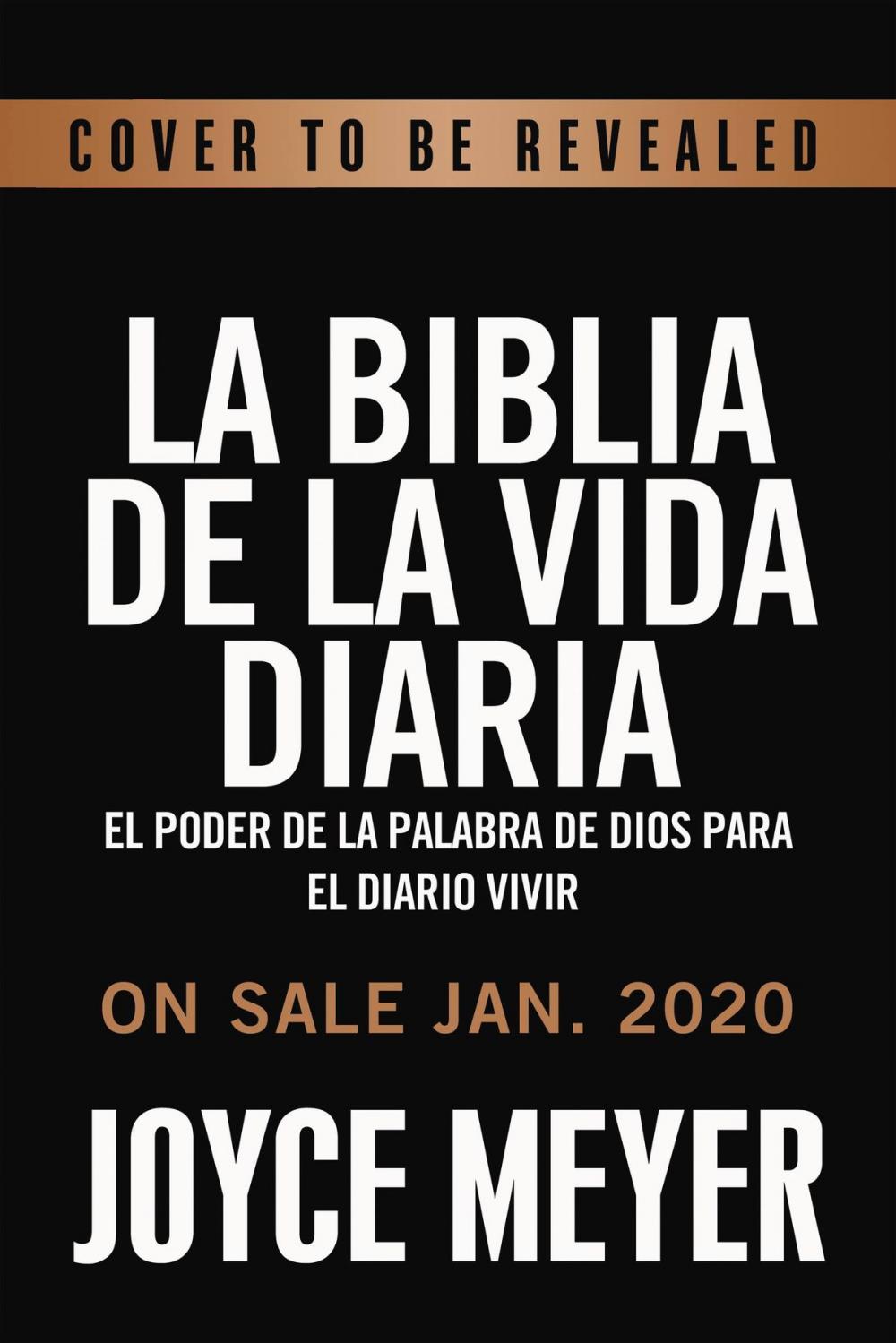 Big bigCover of La Biblia de la vida diaria