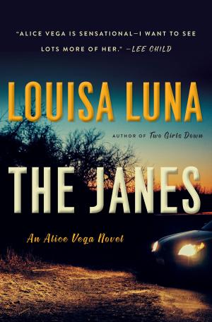 Cover of the book The Janes by Andrew Vachss