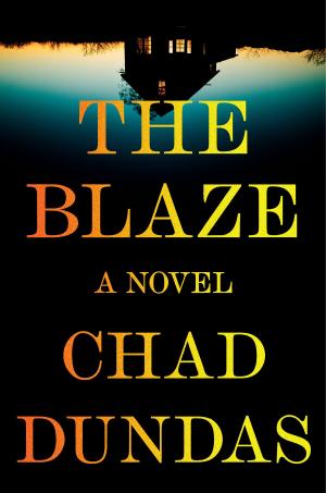 Cover of the book The Blaze by Tom Wood