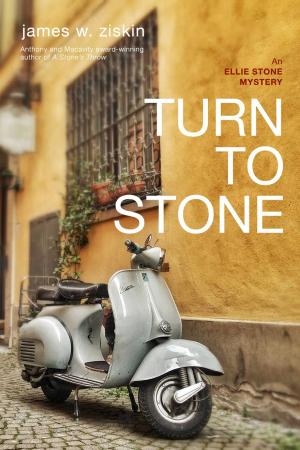 Cover of the book Turn to Stone by Mark Pryor