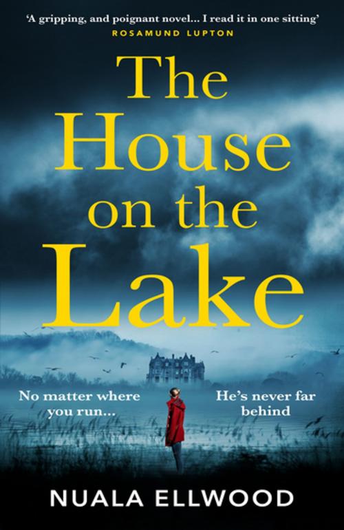 Cover of the book The House on the Lake by Nuala Ellwood, Penguin Books Ltd