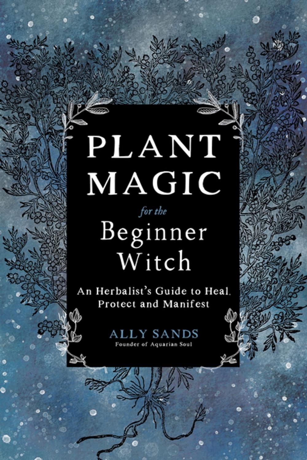 Big bigCover of Plant Magic for the Beginner Witch