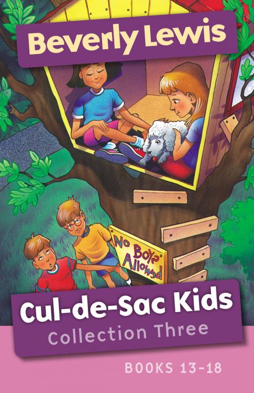 Cover of the book Cul-de-Sac Kids Collection Three by Beverly Lewis, Baker Publishing Group