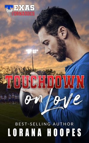 Cover of the book Touchdown on Love by Swami Anubhavananda