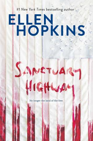 Cover of the book Sanctuary Highway by Cameron S. Matthews